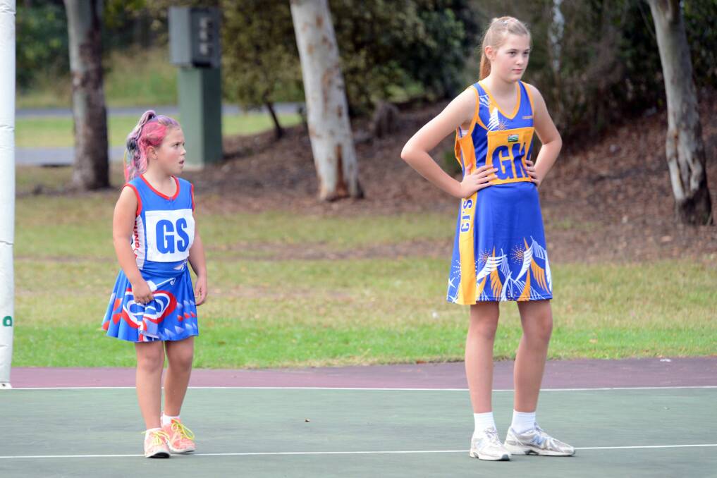 Taree and District Netball's junior and senior semi-finals will be played at Taree Recreation Centre on Saturday.