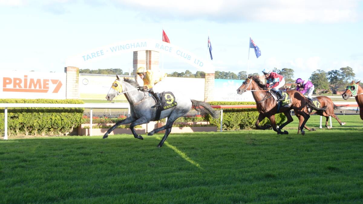 Robert Thompson wins the Gloucester Cup on Clune's Rocket at Taree's Bushland Drive track on Tuesday.