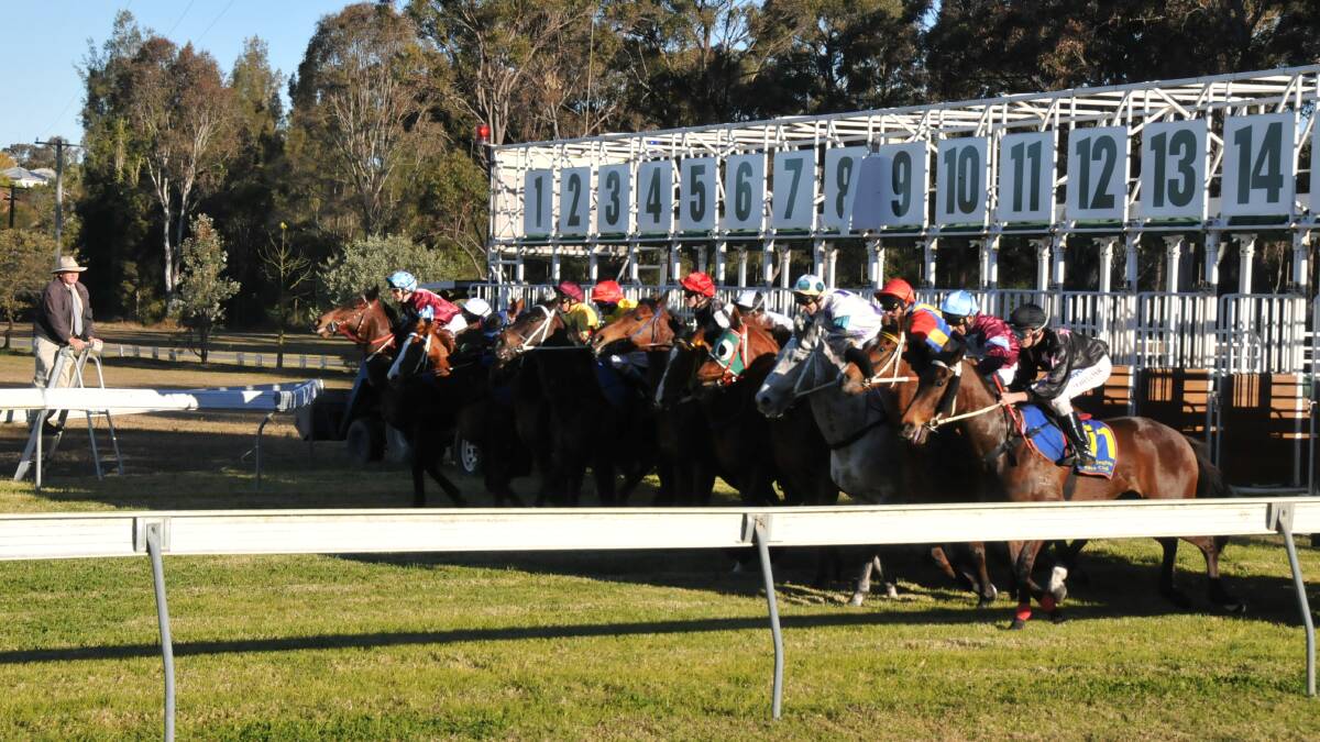 Doug Ryan's preview of Tuesday's Taree Cup Prelude race meeting
