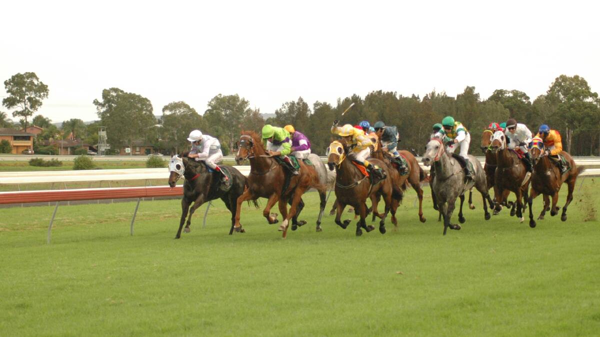Bettabet Red strong chance for Taree Cup Prelude