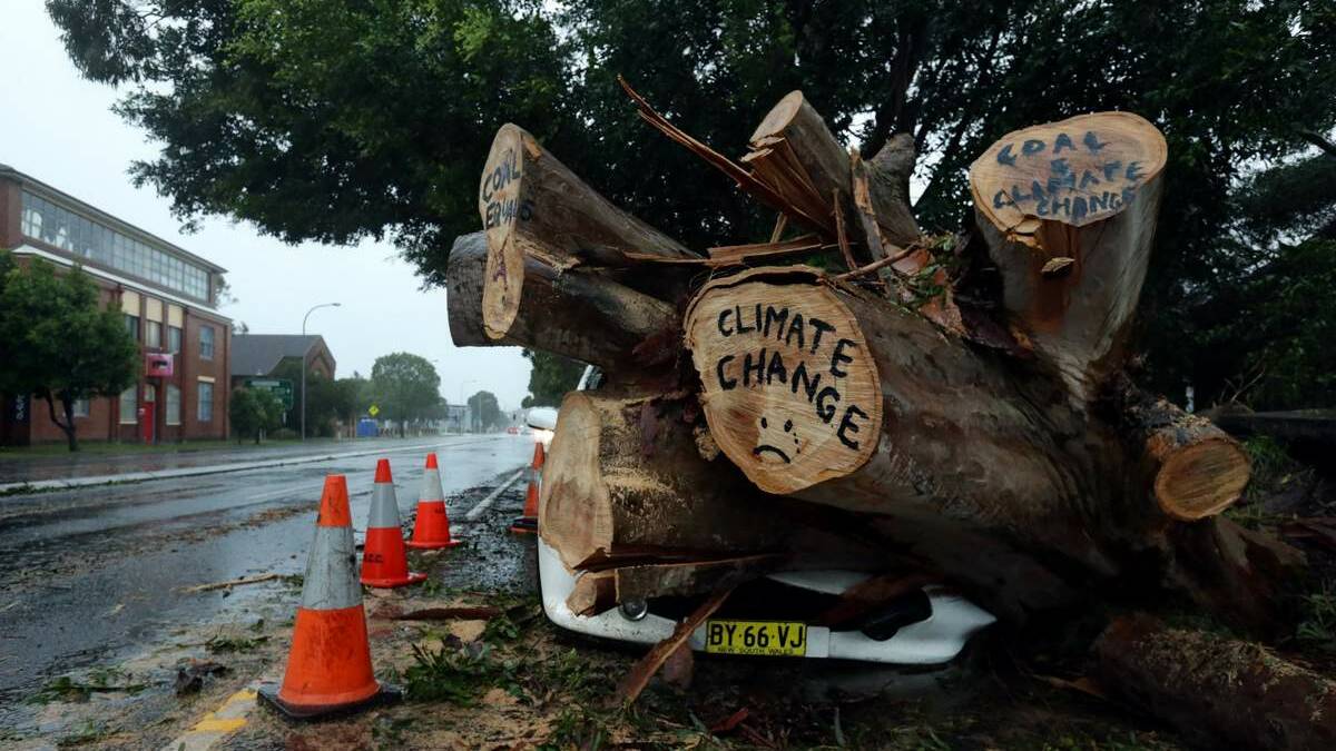 In Parry St Newcastle West, a car is squashed under a fallen tree on which someone has written the words "Climate change" and drawn an unhappy face on one branch, and "Coal & climate change" on another.  Picture Simone De Peak 