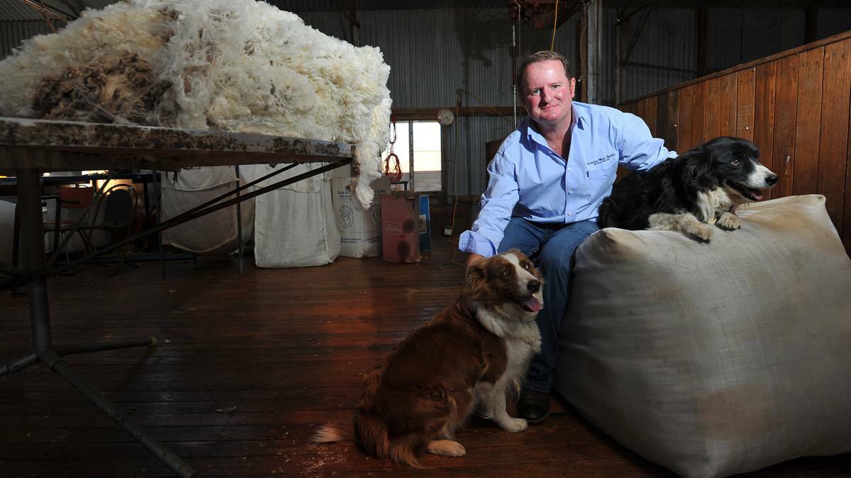 Paul Cocking, Winton, Mangoplah, pictured with his dogs Milo and Micron, has been elected to the Australian Wool Innovation board. Picture Addison Hamilton.