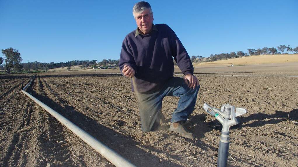 The Lagoon market gardener Jeff McSpedden has just sown 300 acres of corn, but dry times in the Bathurst basin meant he had to irrigate his fields before he could even plough them. Photo BRIAN WOOD