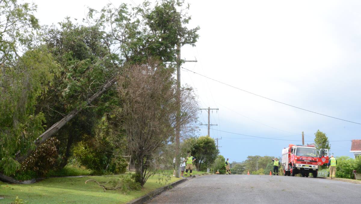 A tree rests on power lines in Coulston Street, Taree after Sunday's storm. 