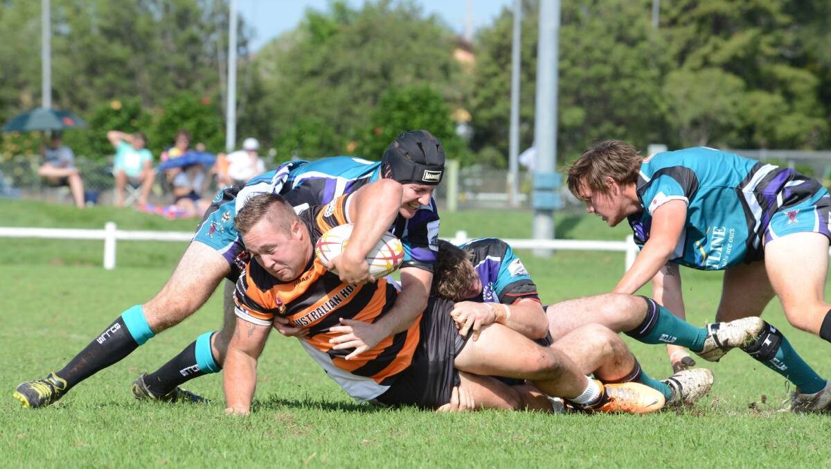 Tiger Logan Polkington in the rugby league pre-season match between Wingham and Taree City last weekend. 