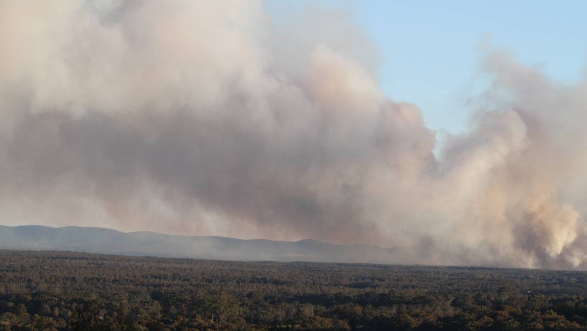 The fire burning at Nabiac – Photos taken by Carl Muxlow from Tallwoods.