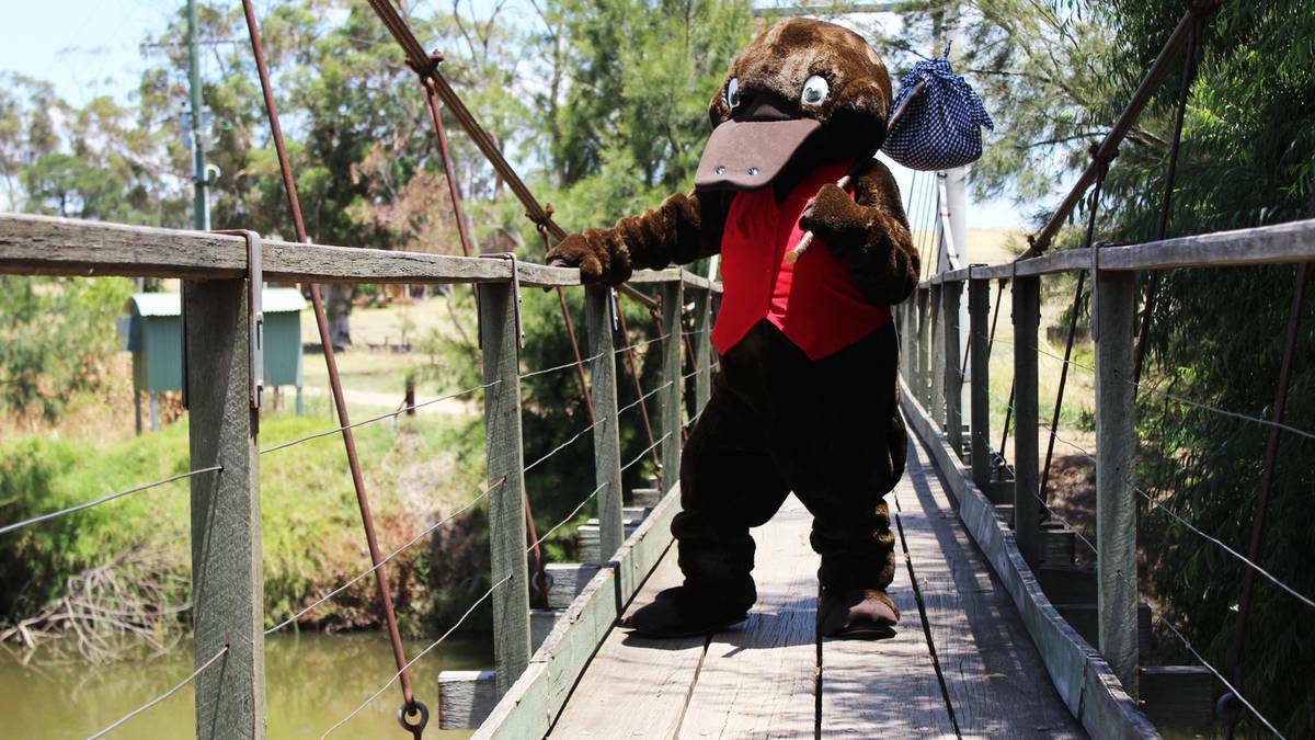 COWRA GUARDIAN -  'Freeda the Reader,' the Central West Libraries mascot and most popular platypus is missing and it's up to the kids of Cowra to put their detective skills to the test and track her down.