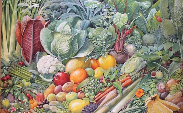 First Fleet Cornucopia by Peter Schouten AM. Mediums used were watercolour and gouache on Arches paper.