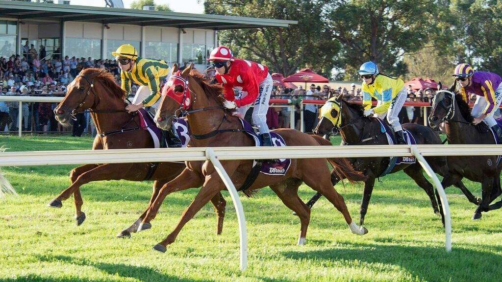 MAGIC Millions has announced an exciting new partnership with Pinjarra Race Club which will see its Western Australian Race Series events conducted at Pinjarra Park in 2016 and beyond.