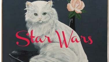 Wilco's new album "Star Wars".