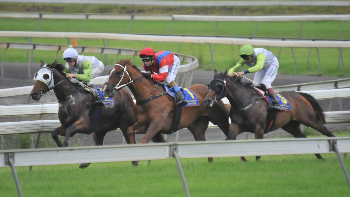 Championship qualifier to be run at Taree