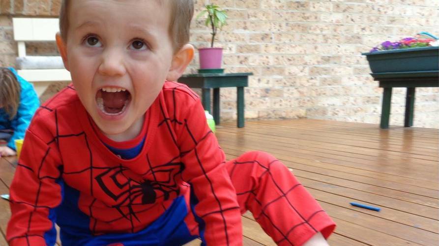 William Tyrrell has been missing for almost a year.