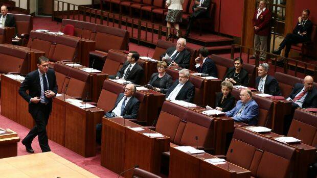 Several government senators side with senator Cory Bernardi during a division. Photo: Alex Ellinghausen