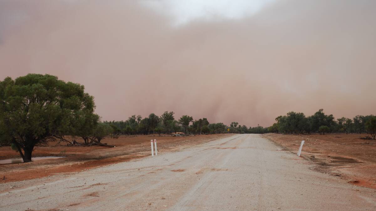 Drought conditions near Ivanhoe, NSW are a not-so-distant memory. Picture: Di Huntly