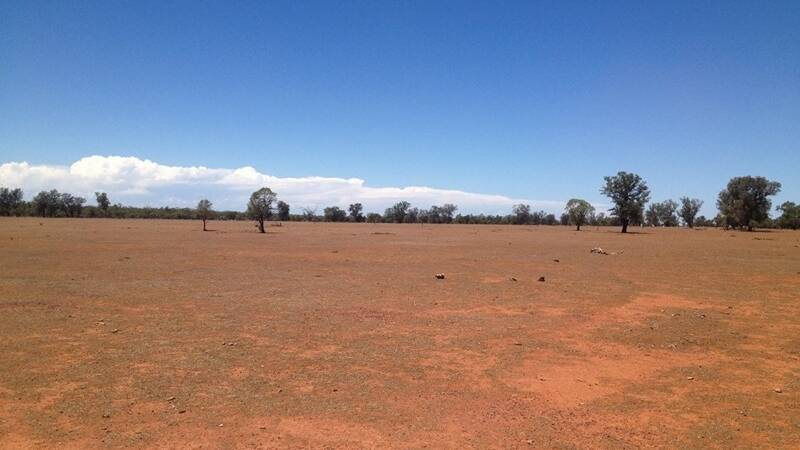 Just a few years after the last drought broke, paddocks are getting barer. Picture: Jody Fraser