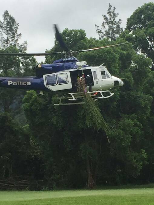 Manning-Great Lakes police removed cannabis plants aboard the Polair 5 helicopter. Photo: Manning-Great Lakes LAC- NSW Police Force. 