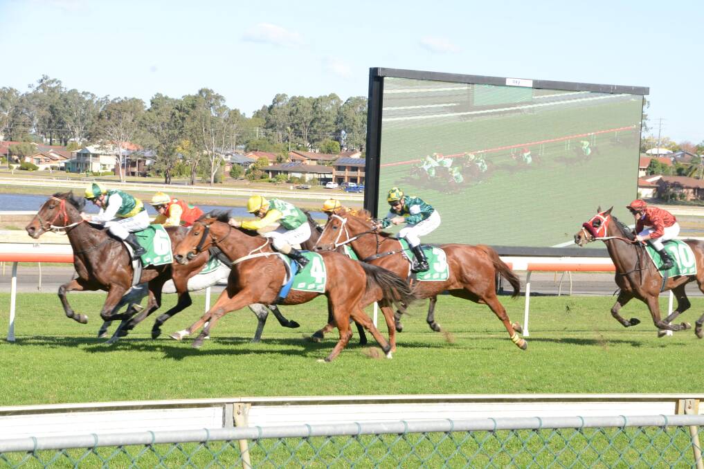 Ultimate Decision, trained by Taree's Ross Stitt and ridden by Matthew McGuren,     took out the Page Eleven Marketing and Design Taree Benchmark 60 Handicap.
