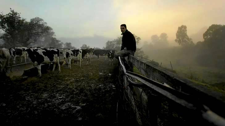 "Our sales went through the roof": Dairy farmer Tom Fairley. Photo: Kate Geraghty