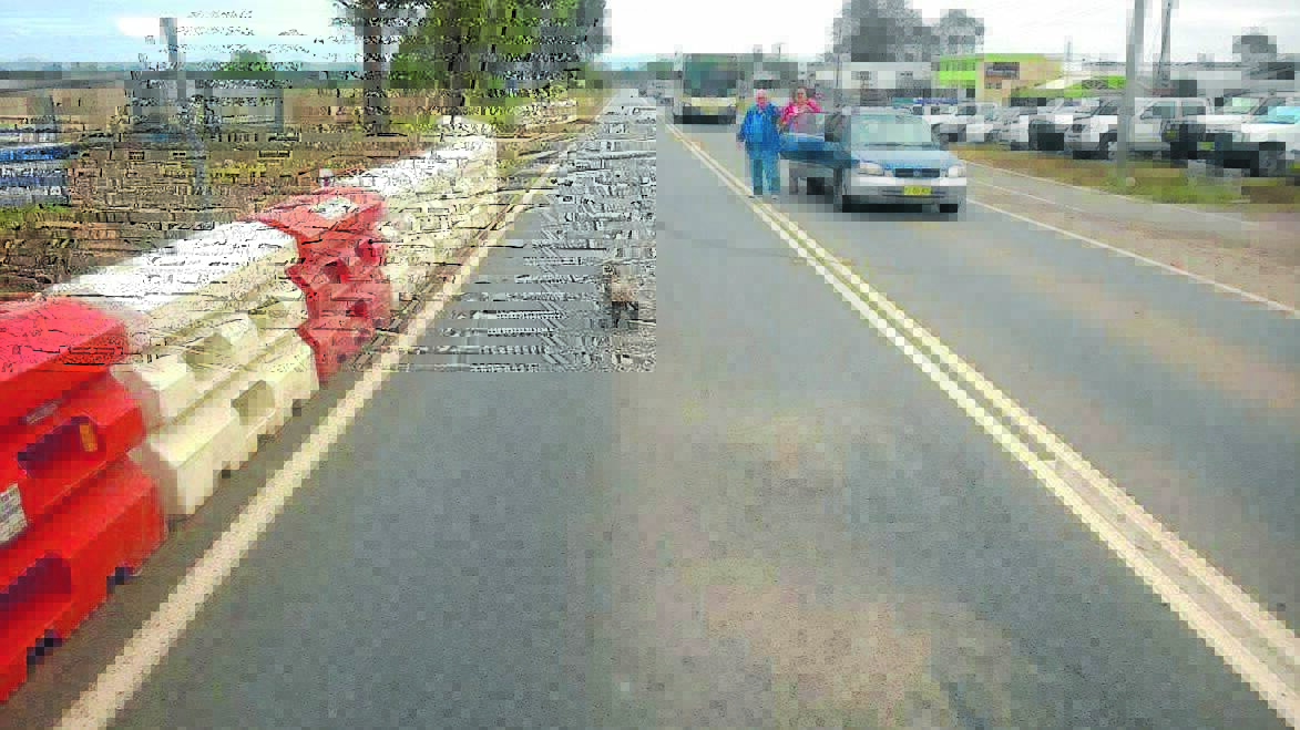 A frightened and confused koala with a burnt bottom stopped morning traffic on Manning River Drive on Tuesday.