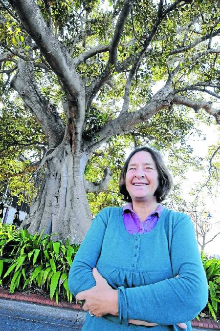 The fabulous fig tree in Pulteney Street, Taree, is one of a select few trees that have been nominated for heritage protection. Mrs Helen Hannah of Greater Taree City Council's Strategic Heritage Advisory Committee wants people to nominate trees within their community that are significant to the heritage of the area.