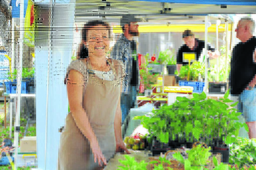 An abundance of seedlings and plants nurtured by Melissa Perkins of Nature's Harvest in Nabiac covered her market stall tables. They were laden with a delicious variety of plants that could be used to create a productive kitchen garden.