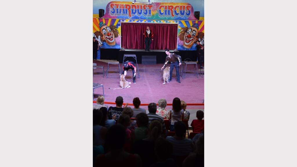 Stardust Circus at Taree