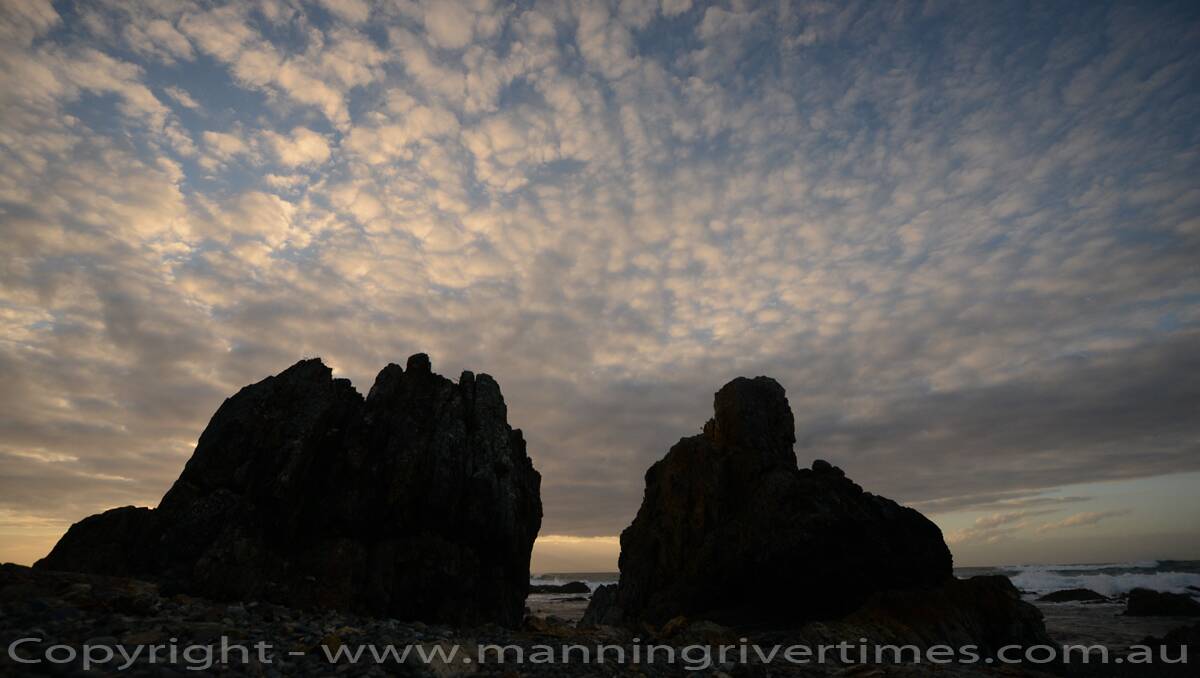 2013 Daybreak on the Manning - 25.07.13 – Black Head Rainforest walk
