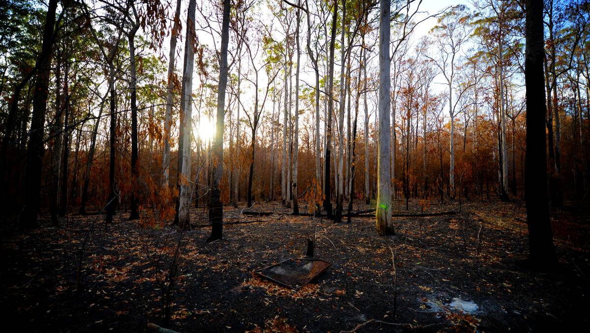 Daybreak on the Manning - After the fires at Kiwarrak State Forest Taree