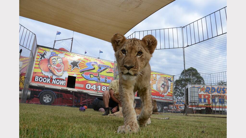 Stardust Circus at Taree - Pictures at Daybreak