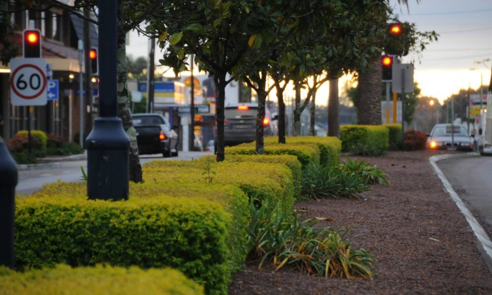 Times photographer Carl Muxlow spent daybreak in Taree's CBD and captured some of the beauty of our town. See his gallery of photos on this website.