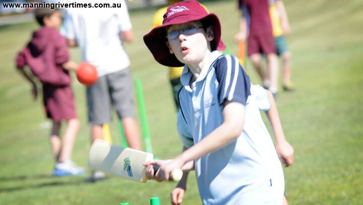 Milo Junior Cricket at Taree