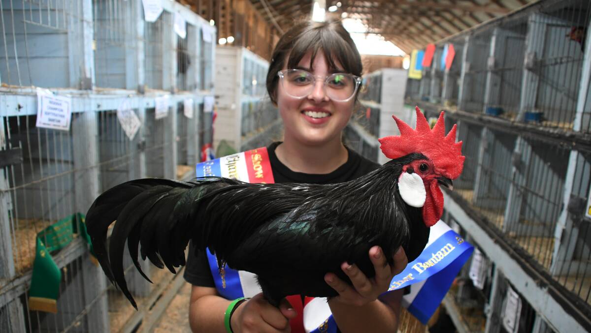 Mia Kelly won Bird of Show at the 2023 Wingham Show. Picture Scott Calvin.