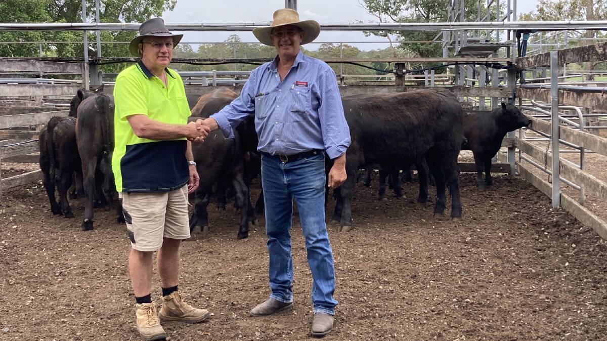 Steve Woodwood from Black Head with Gooch Agencies stock agent, David Callaughan at Taree Saleyards on Monday November 20. Picture supplied. 