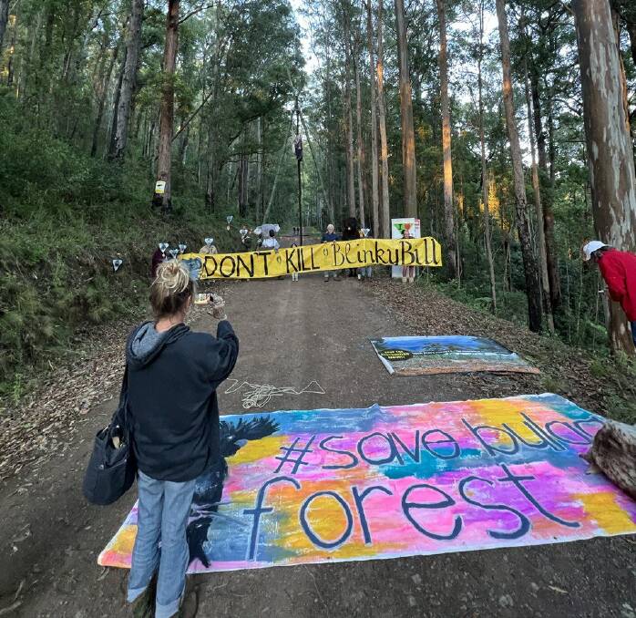 Protesters against native forest logging gathered at Bulga State Forest.