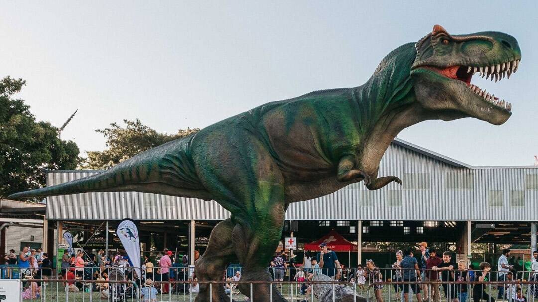 WELL RECEIVED: Dinosaur exhibits have began to take place in some locations, with positive reviews coming from those who have attended. Picture: Supplied.