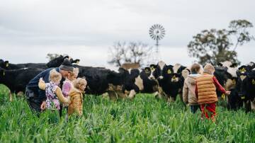 Little Big Dairy at Rawsonville officially makes the champion cream awarded this year by the Dairy Industry Association of Australia and the Royal Agricultural Society of NSW. Picture: Supplied 