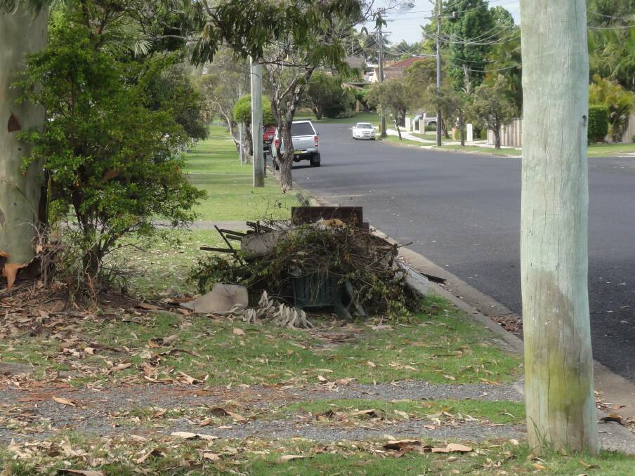 Report it: Illegal dumping can be reported to Council or you can report through the NSW EPA's online program at ridonline.epa.nsw.gov.au.

