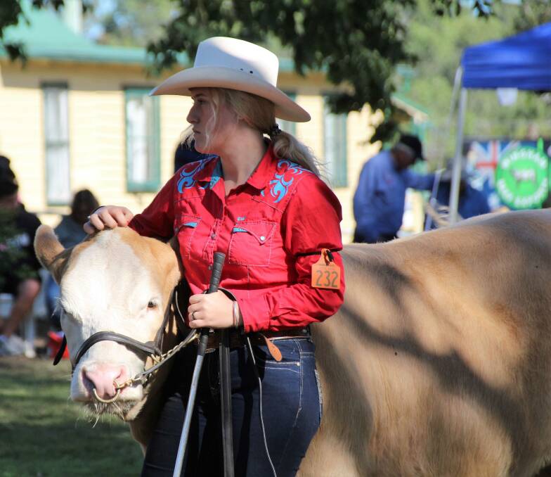 Beef festival: This is an event not to miss, so mark May 13 to 17 in your diary. Pictured here is Caitlyn Ernst in the show ring. Photos by Scott Calvin.