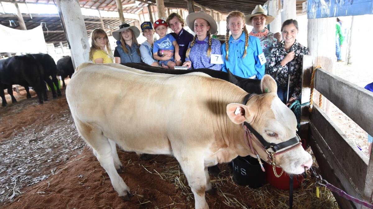 SCHOOL RULES: Wingham High school students competing at the 2018 show. Cattle parading and judging will be a highlight of the 2019 show.