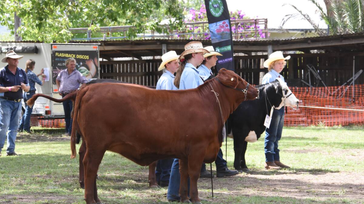 CATTLE SHOW: A major highlight on Saturday March 30 will be the Beef Cattle RAS/ASC Group 2 Junior Judging Qualifying Final for the 2019 Royal Sydney Easter Show. 