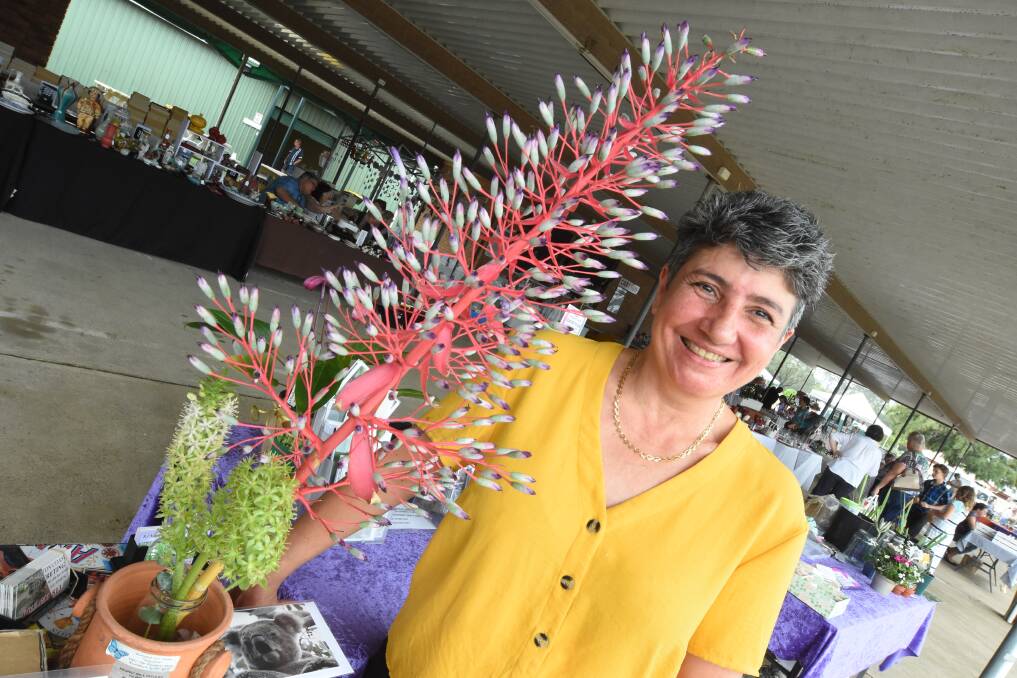 Potted colour: Lyz Taylor at last month's Hub Markets at Taree. The market is on again this weekend. Photo: Scott Calvin.
