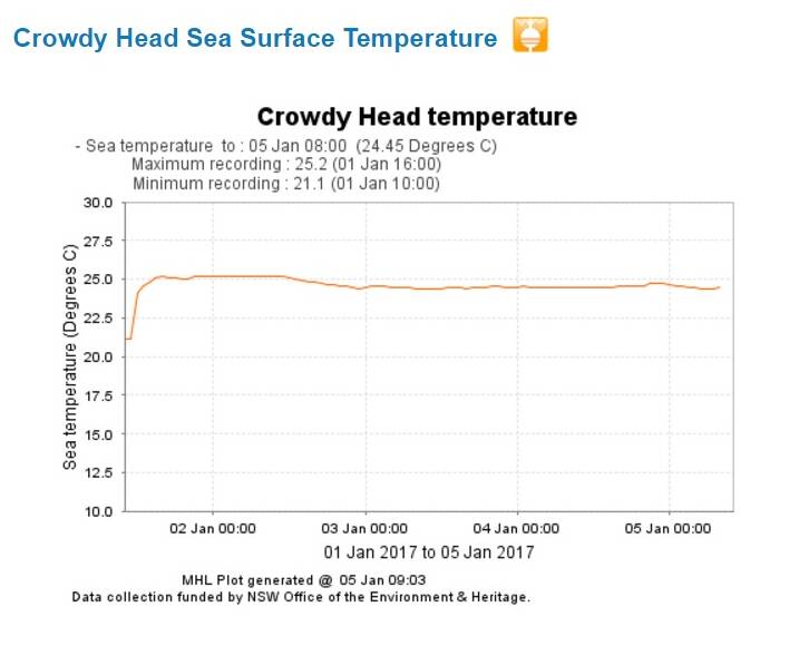 Sea temperatures at Crowdy Head rose to 25 degrees on January 1. Source: http://new.mhl.nsw.gov.au/