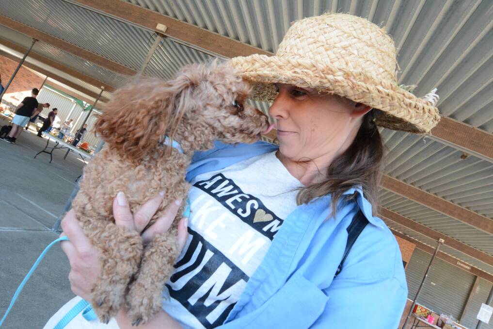 Event adapts due to restrictions: Lisa Richards and Stroodle at last year's Million Paws Walk at Taree. Photo: Scott Calvin.