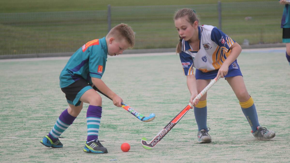 Olivia Keen scored the winning goal for Sharks under 11s in the clash against Tigers.