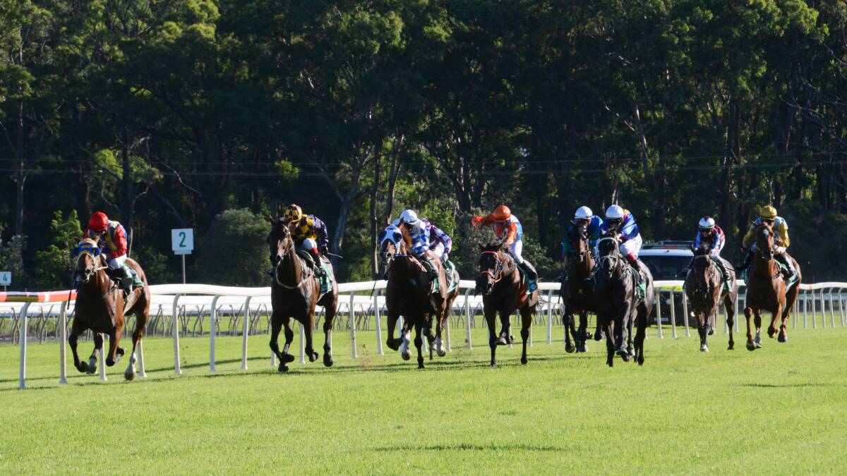 Lippy and Pearls chases first win since 2017 Kempsey Cup