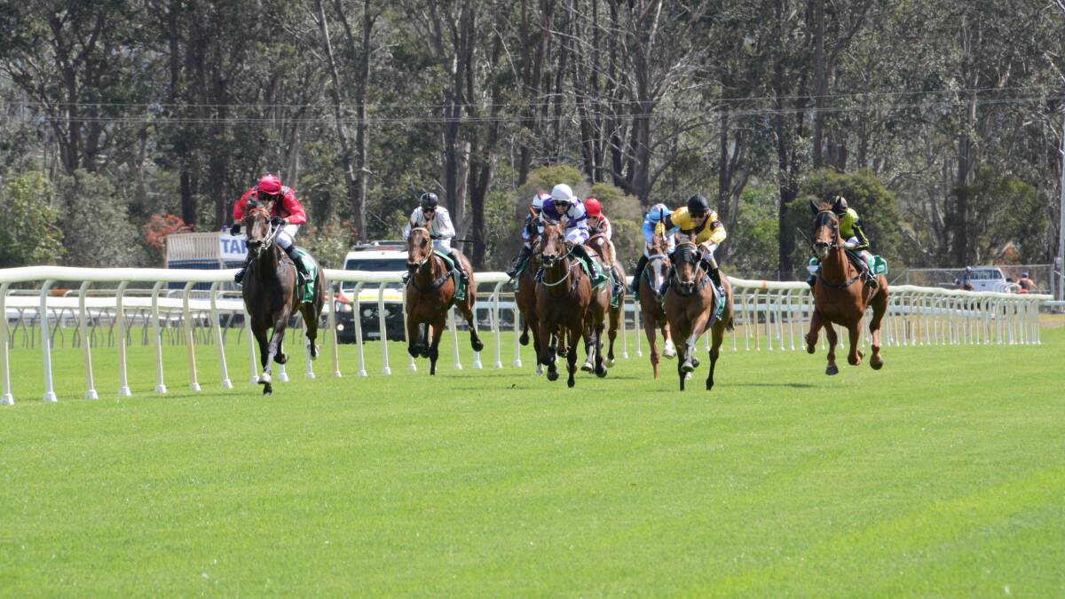 Doubles for Jenny Graham and Robert Thompson highlight Taree races