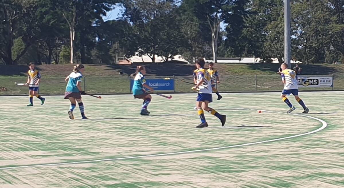 Tigers defeated Sharks 3-1 in the under 13 hockey clash.