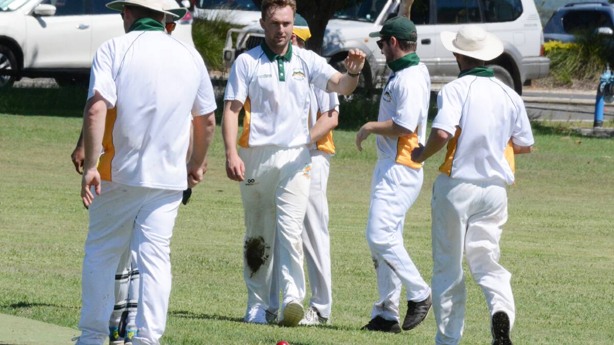 Howzat: Great Lakes players celebrate a wicket in last season's second grade grand final against Taree United. Lakes won the game.
