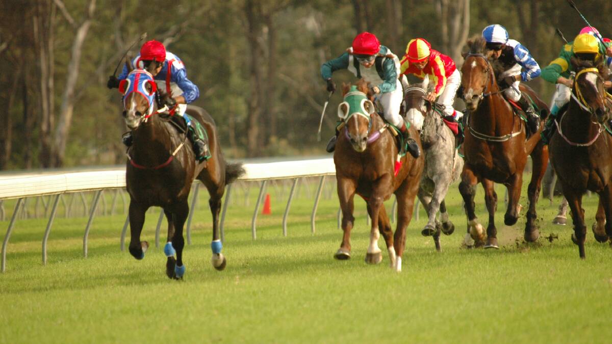 Neil Evans previews Manning Valley Race Club's meeting