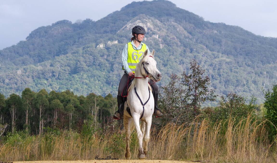 Ellen Dunger on Nilo .Nilo did his first 40km ride basically up the road from where he was born at Diamond Road Arabian Stud Photo Jo Arblaster Animal Focus.